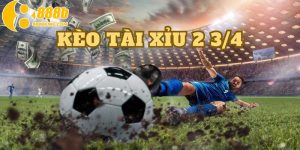 Kèo Tài Xỉu 2 3/4 rất được người chơi cá độ bóng đá yêu thích