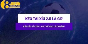 Ý nghĩa tài xỉu 2,5 là gì trong cá độ thể thao vua